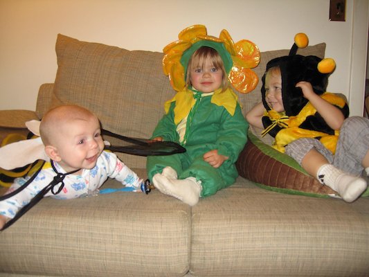 El Seedosaur and the Bee Twins (Cole, Emma and Tim) (10-30-2005 18:16)