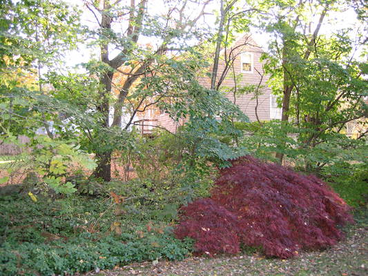 Wildwood house (10-31-2005 16:38)