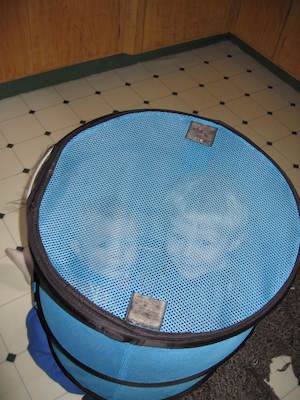 Robot Tim and Cole (03-25-2006 11:04)