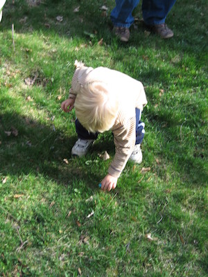 Tim hunting eggs at our house (04-15-2006 18:15)