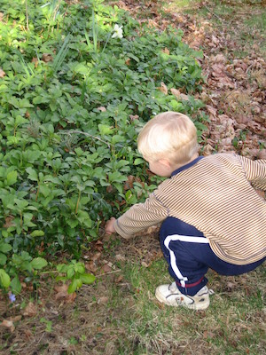 Tim hunting eggs at our house (04-15-2006 18:17)