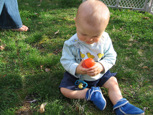 Cole hunting eggs (04-15-2006 18:22)