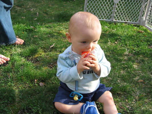 Cole hunting eggs (04-15-2006 18:22)
