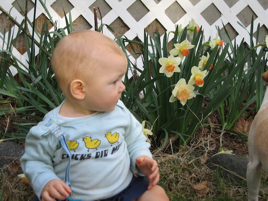Cole by the flowers (04-15-2006 18:33)