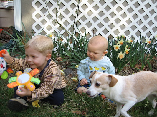 Tim, Cole and Emily by the flowers (04-15-2006 18:33)