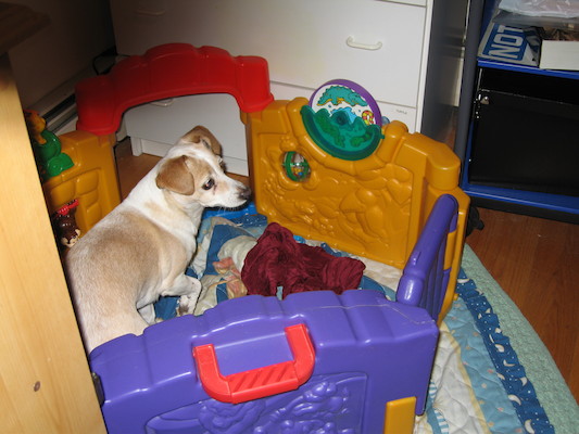 Emily in Cole's fort (04-16-2006 22:31)