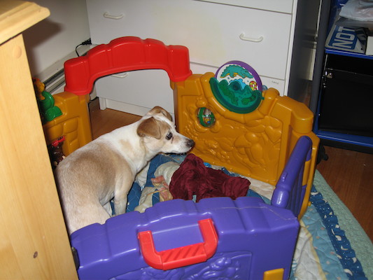 Emily in Cole's fort (04-16-2006 22:31)