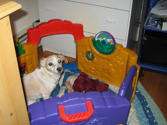 Emily in Cole's fort (04-16-2006 22:31)