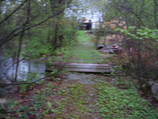 High water in backyard flood (05-16-2006 19:51)