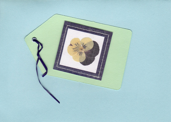 Flower (08-14-2006 20:28)