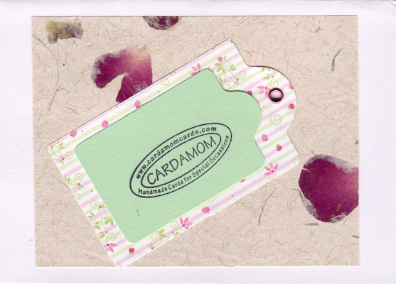 Cardamom (08-14-2006 20:30)