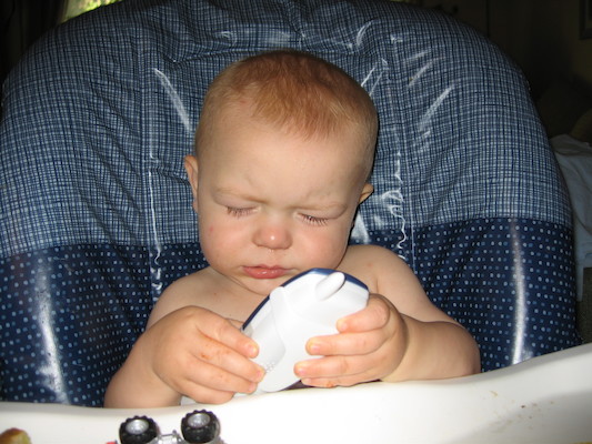 Cole and the phone (06-16-2006)