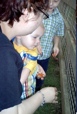 Xine, Cole and Tim looking at bunnies