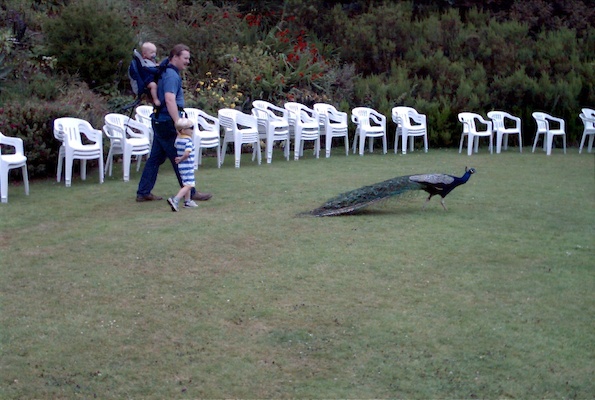 Cole, Ben, Tim and a peacock