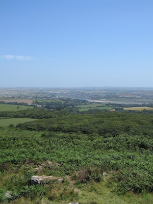 [STN] (07-14-2006 13:27:32 BST)