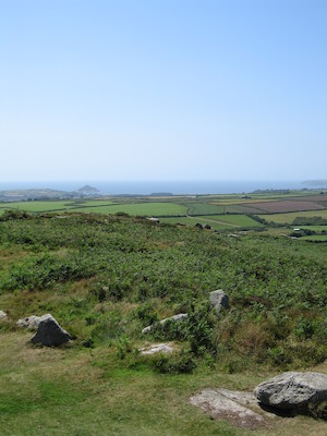 [STX] (07-14-2006 13:27:53 BST)