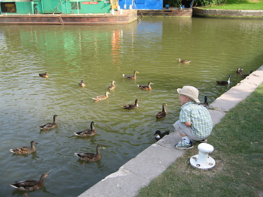 Tim feeding the ducks (07-20-2006 18:44:13 BST)