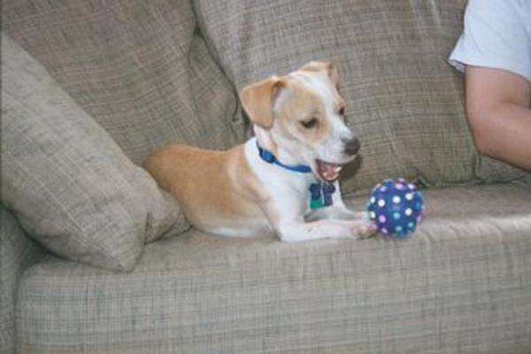 Emily sitting with her ball