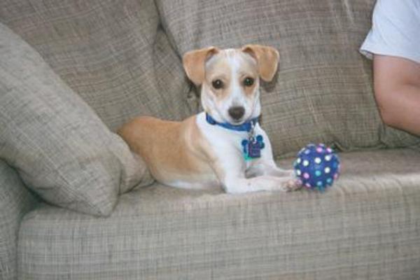 Emily sitting with her ball