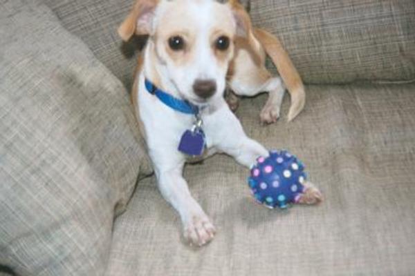 Emily sitting with her ball