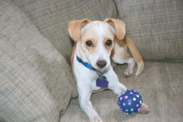 Emily sitting with her ball