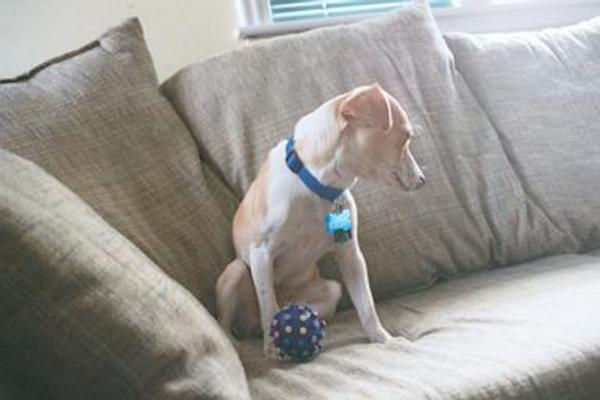 Emily recovering with ball