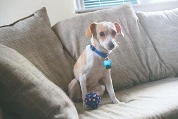 Emily recovering with ball
