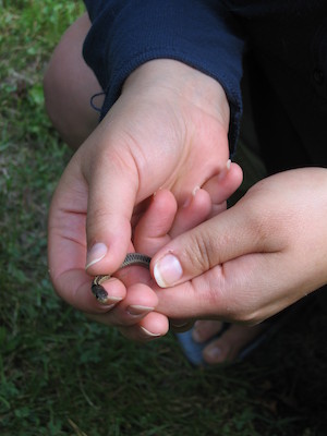 Snake on a Xine (08-13-2006 18:09)