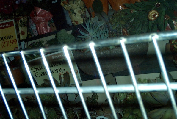 WF groceries (10-06-2006 16:07)