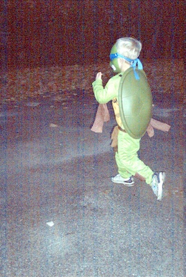 Tim Ninja Turtle