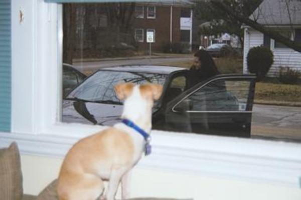 Emily making sure that Xine makes it to her car