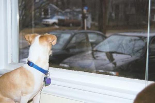 Emily making sure that Xine makes it to her car