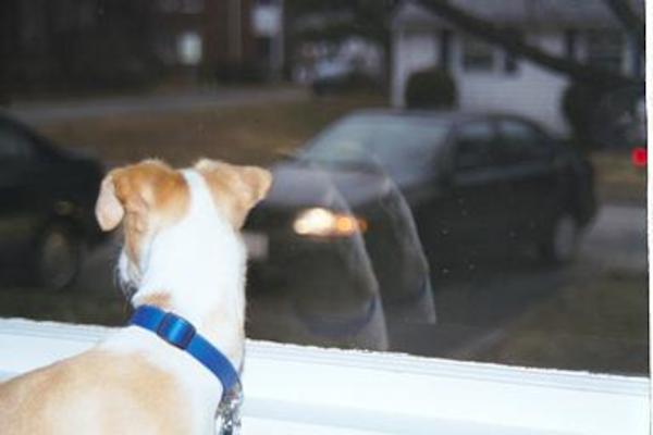 Emily making sure that Xine makes it to her car