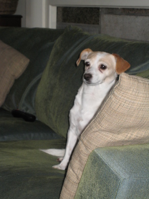 Emily (12-05-2006 08:09)