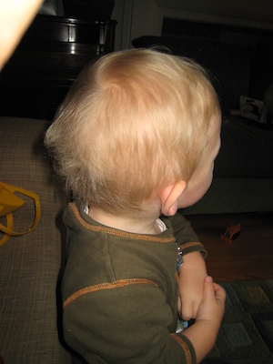 Cole's dandelion fuzz (12-09-2006 12:39)