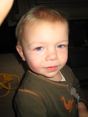 Cole closeup (coy) (12-09-2006 12:39)