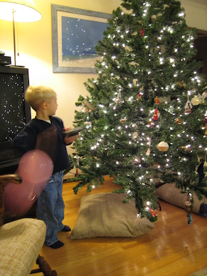 Tim decorating the tree (12-11-2006 18:42)