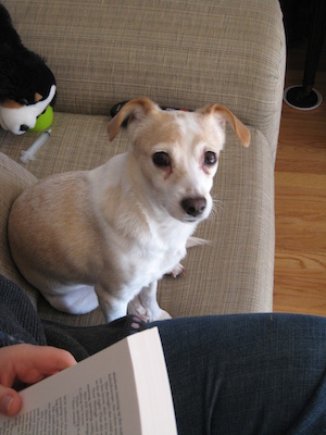 Cute Emily (01-21-2007 11:41)