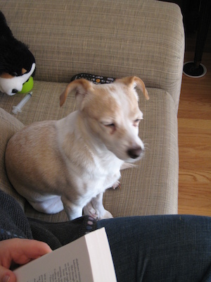 Cute Emily (01-21-2007 11:41)