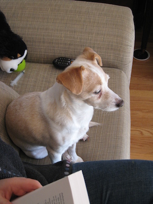 Watchful Emily (01-21-2007 11:41)