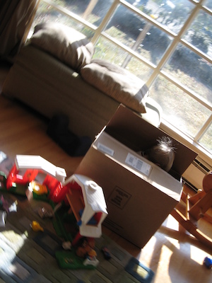 Peekaboo Tim (01-21-2007 11:41)