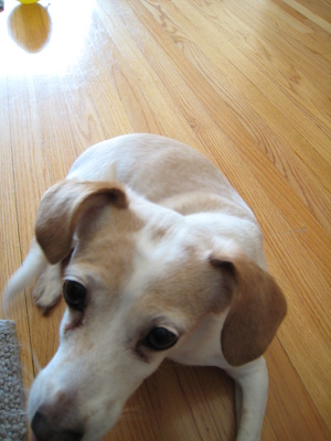 Emily closeup (01-24-2007 12:05)