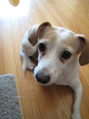 Emily closeup (01-24-2007 12:05)