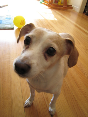 Emily closeup (01-24-2007 12:05)