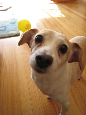 Emily closeup (01-24-2007 12:05)