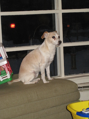 Emily (02-04-2007 17:16)