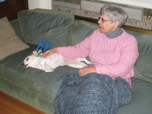 Cuddly dog (03-02-2007 12:11)