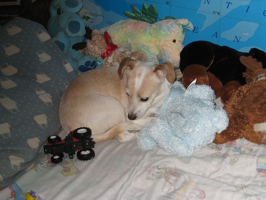 Where's Emily? (03-19-2007 19:12)