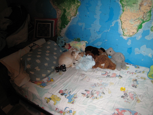 Where's Emily? (03-19-2007 19:12)