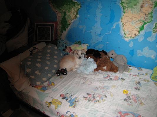 Where's Emily? (03-19-2007 19:13)